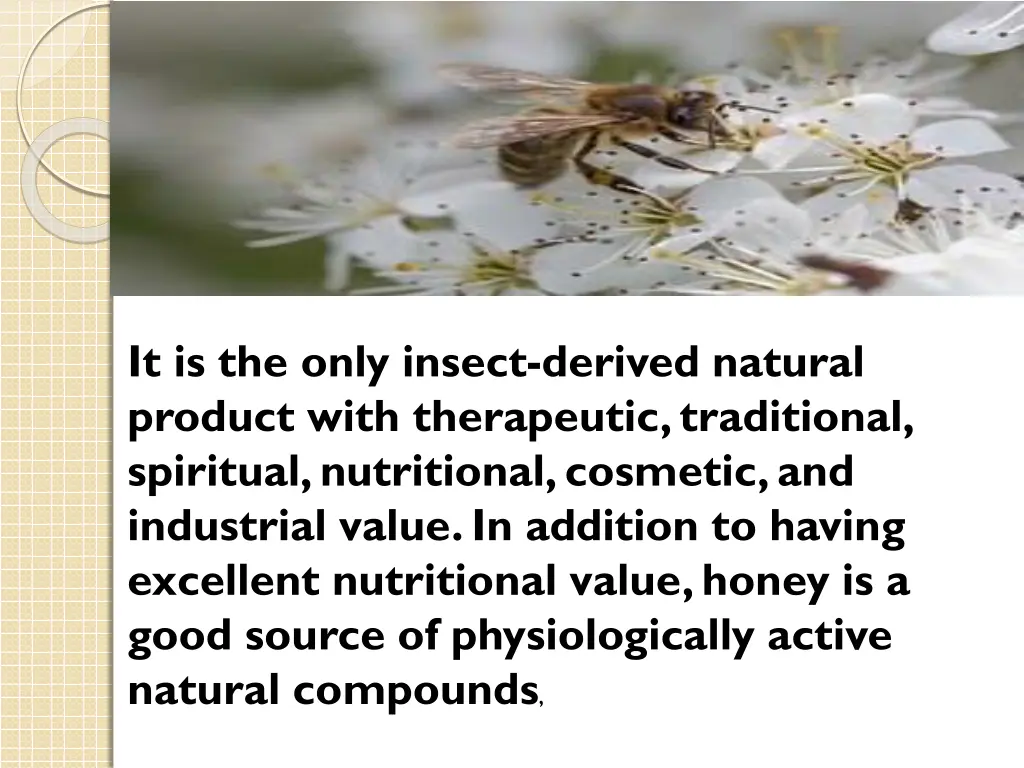 it is the only insect derived natural product