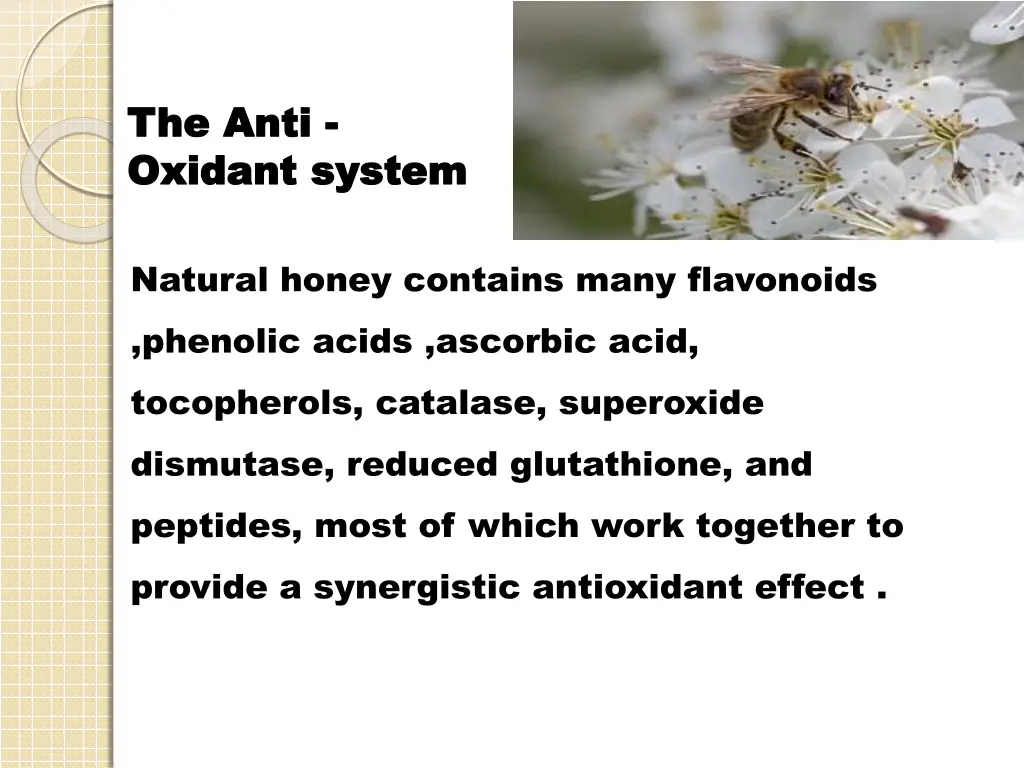 the anti the anti oxidant system oxidant system