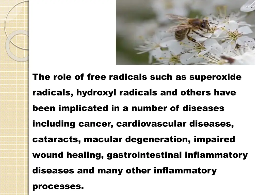 the role of free radicals such as superoxide