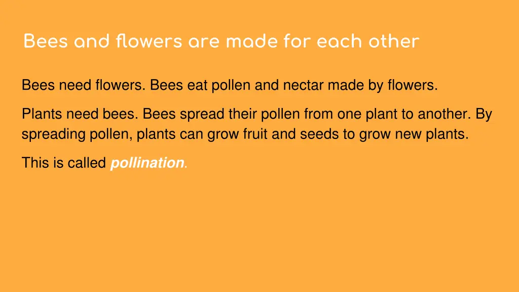 bees and flowers are made for each other