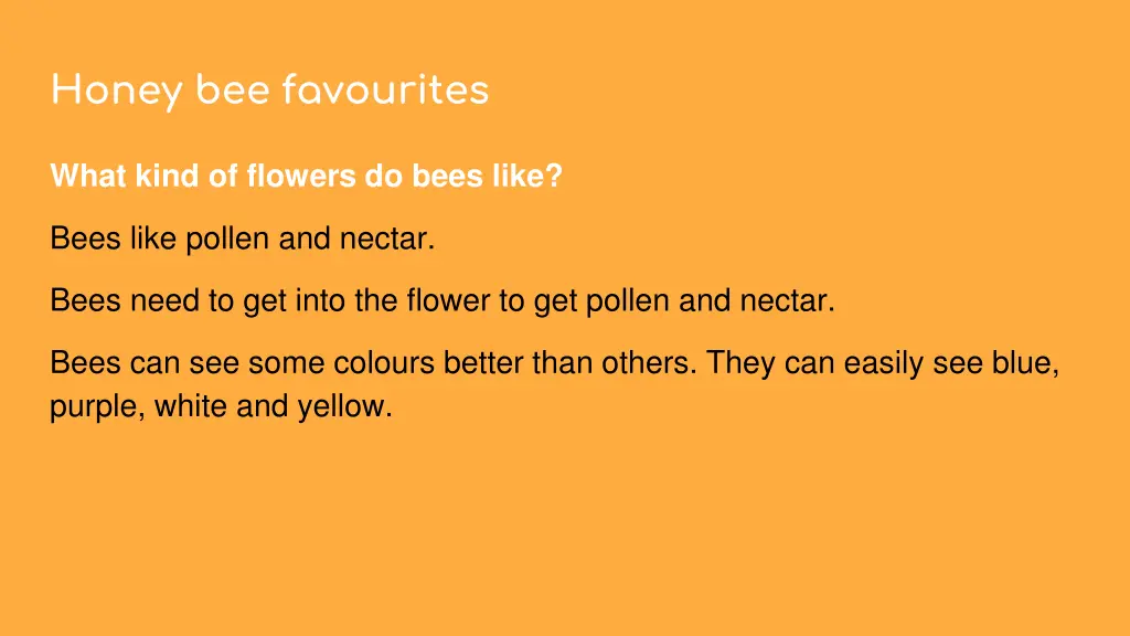 honey bee favourites