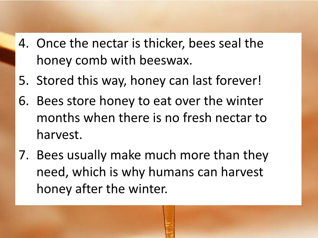 4 once the nectar is thicker bees seal the honey