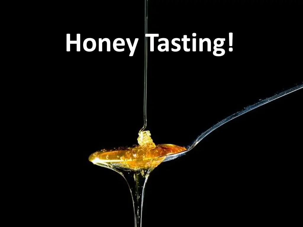 honey tasting