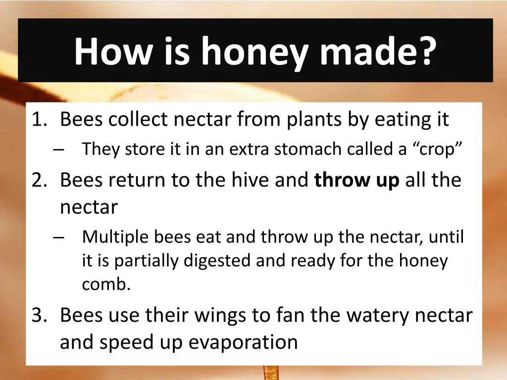 how is honey made