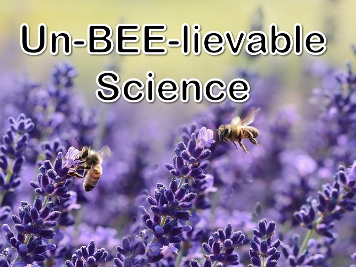 un un bee bee lievable science science