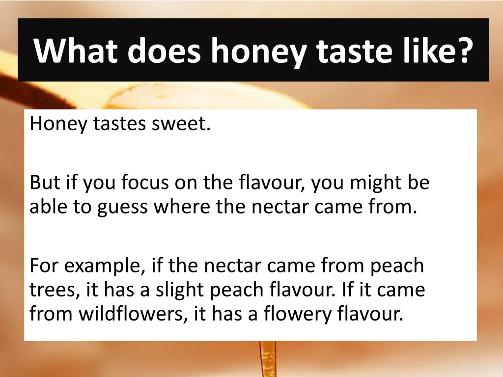 what does honey taste like