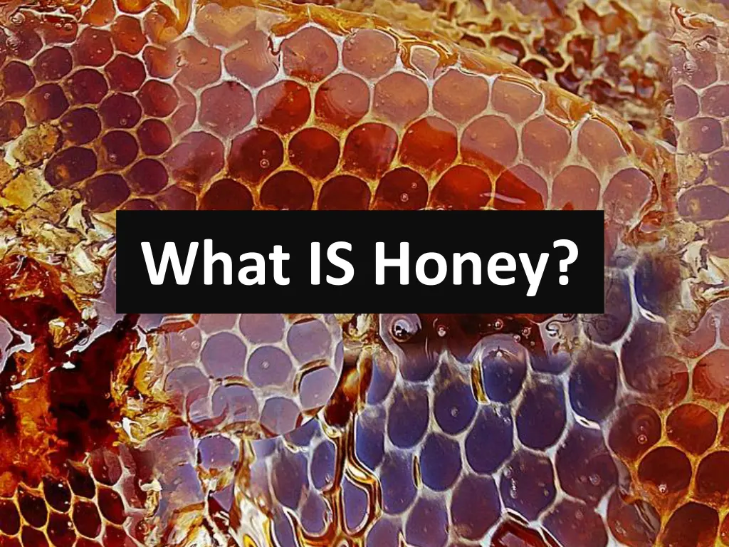 what is honey