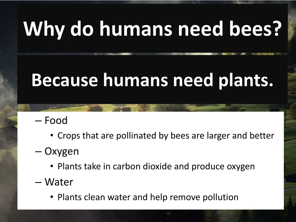 why do humans need bees