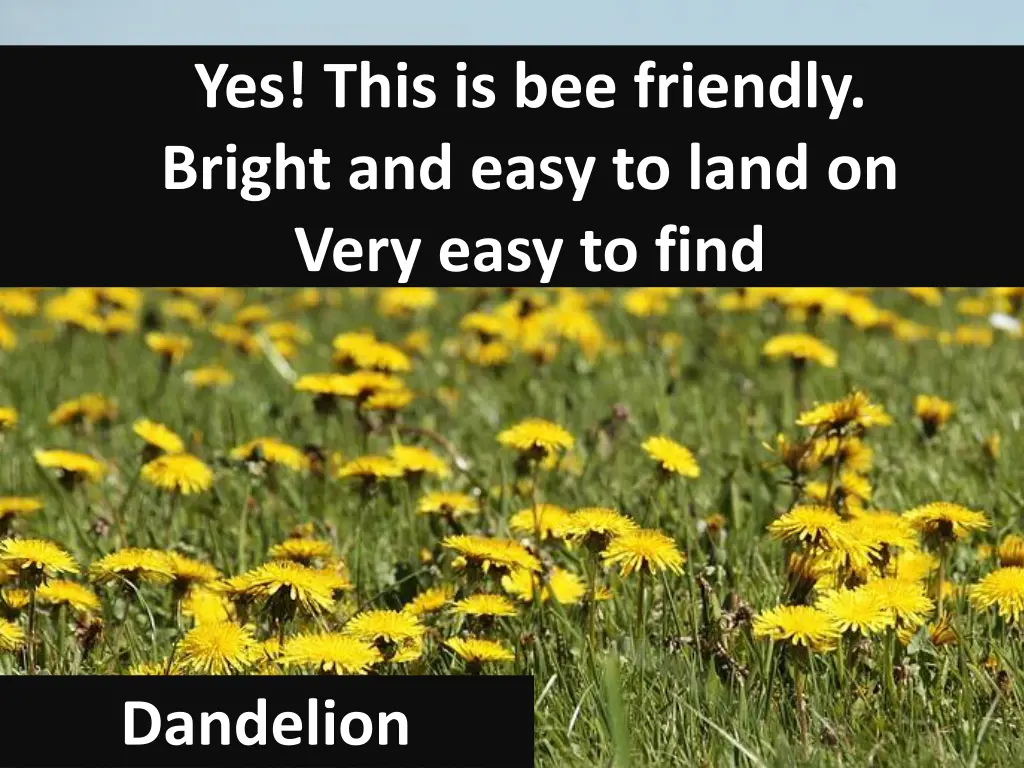 yes this is bee friendly bright and easy to land