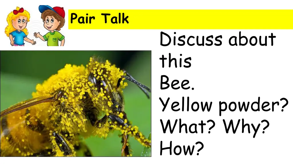 pair talk