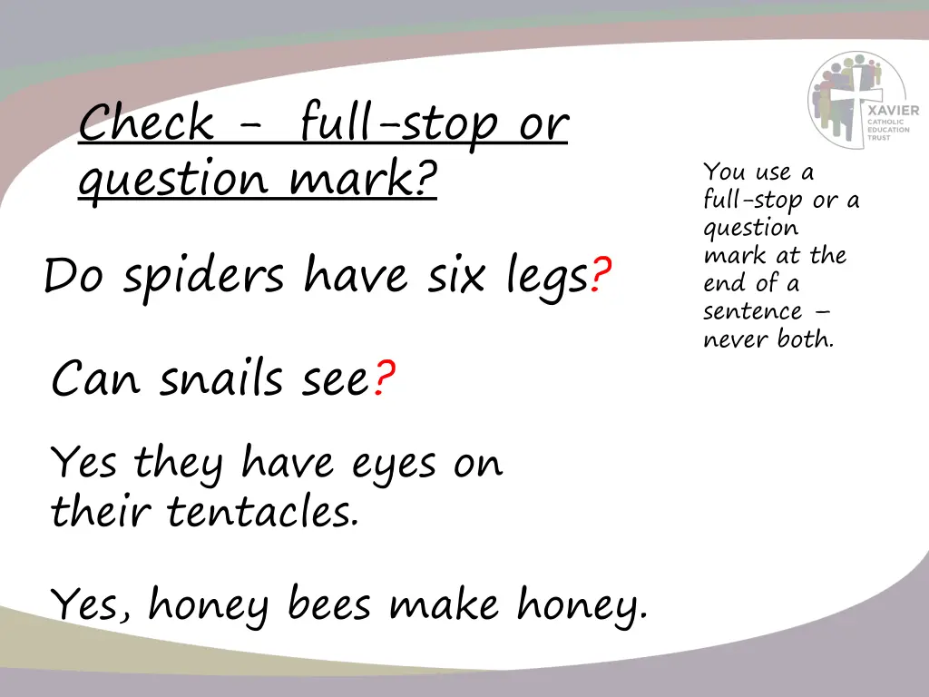 check full stop or question mark do spiders have