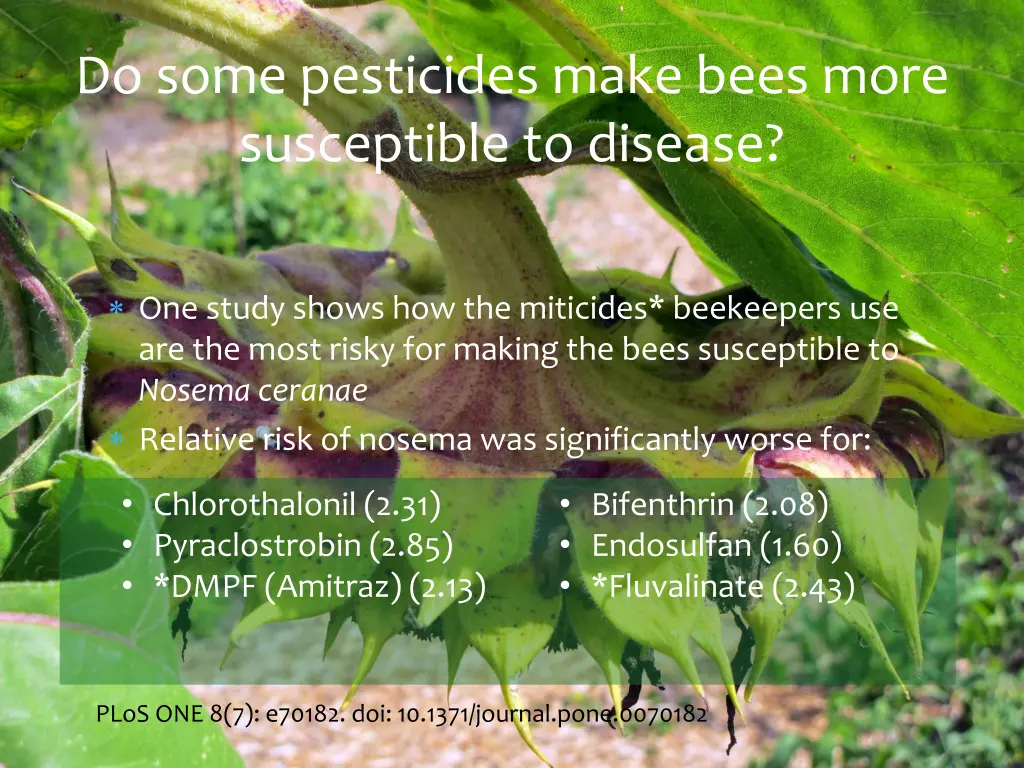 do some pesticides make bees more susceptible