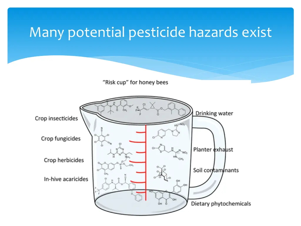 many potential pesticide hazards exist