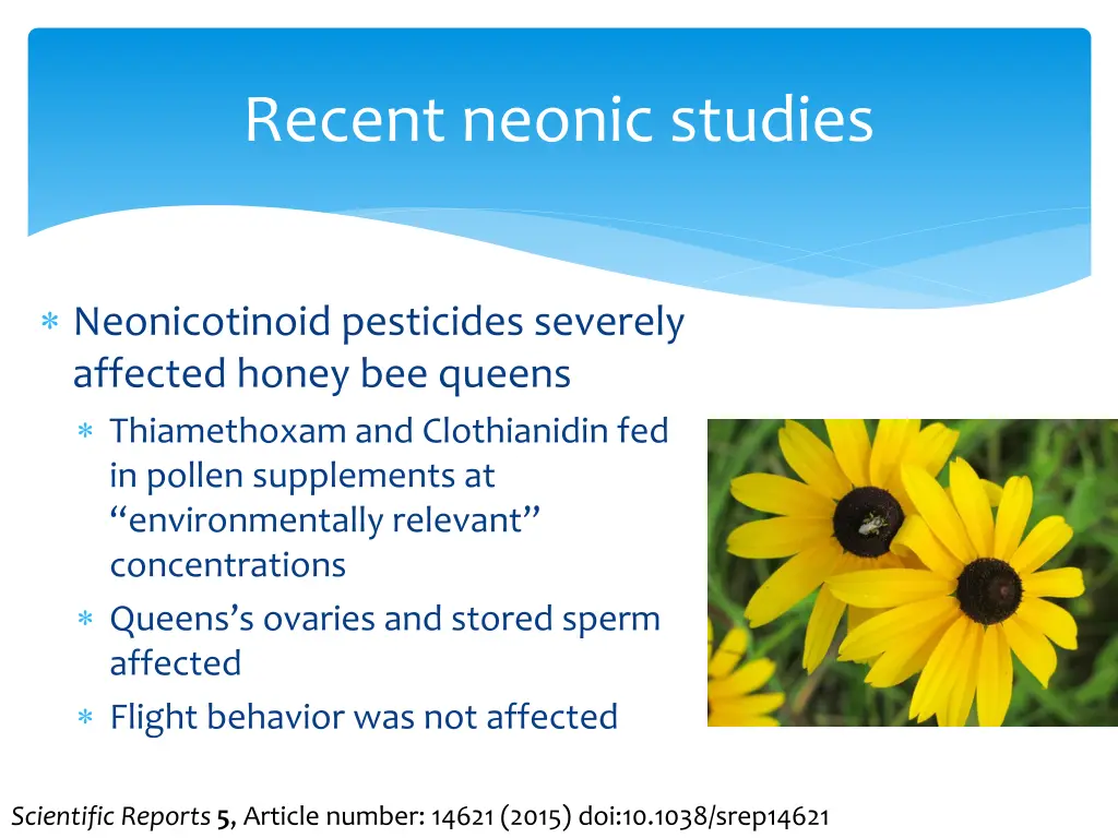 recent neonic studies 1