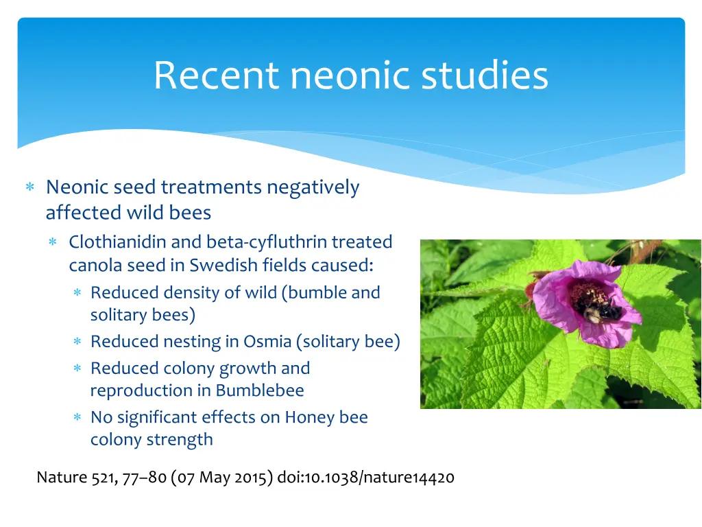 recent neonic studies 2