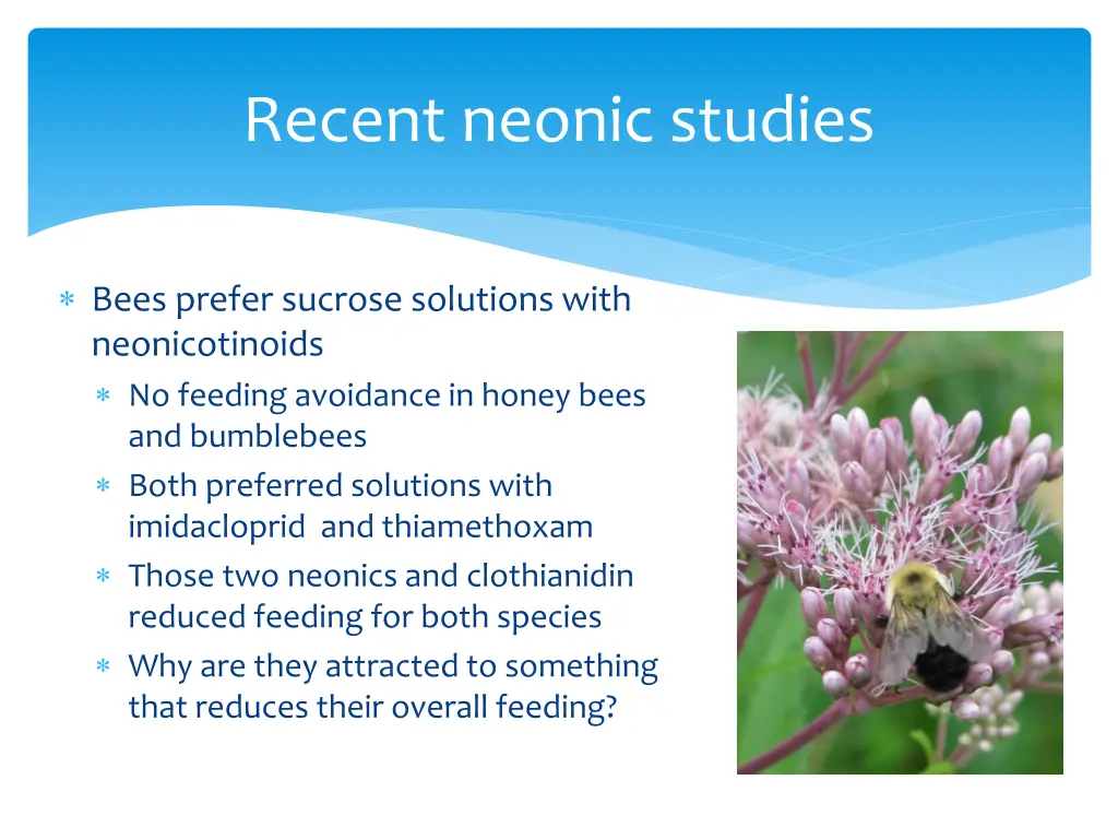 recent neonic studies 3