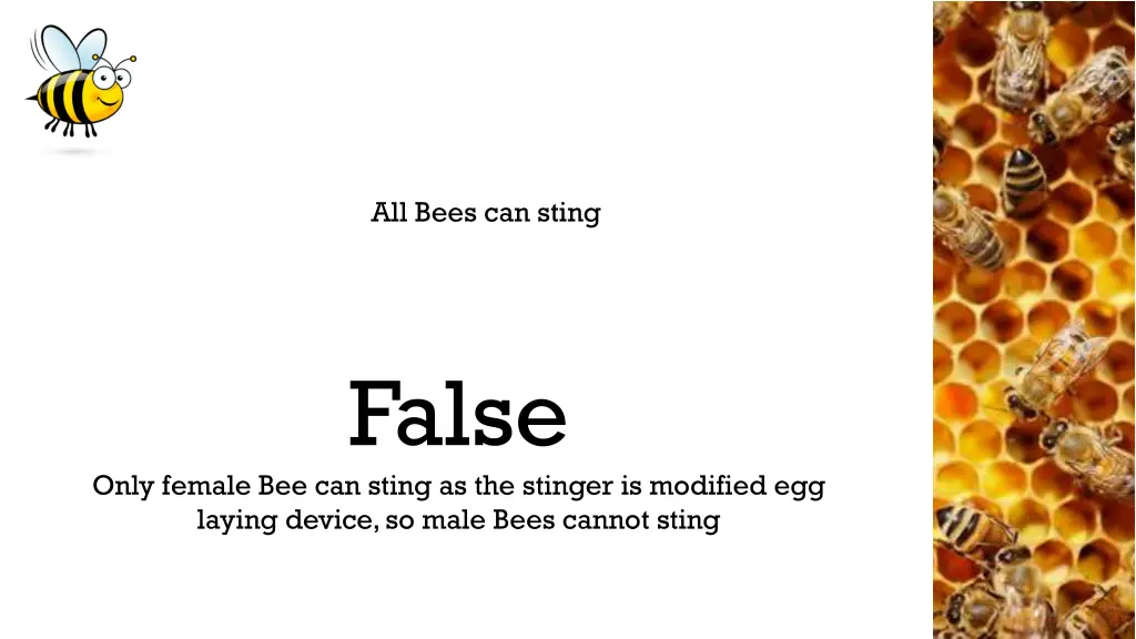 all bees can sting