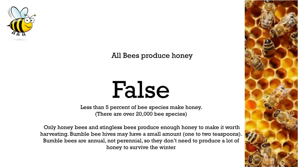 all bees produce honey