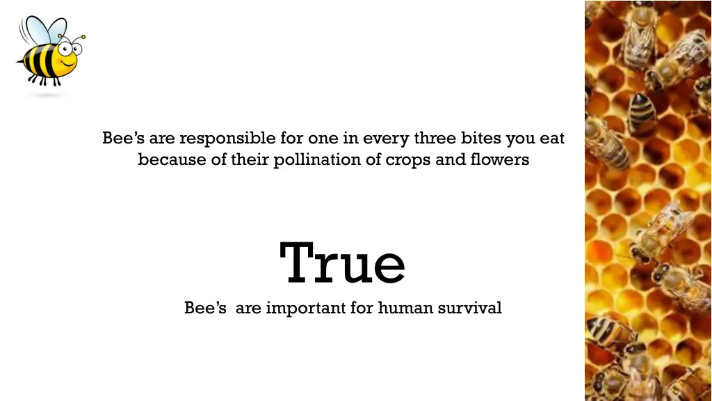 bee s are responsible for one in every three