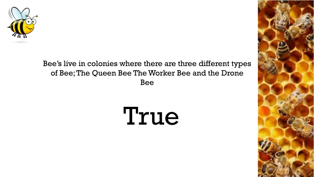 bee s live in colonies where there are three