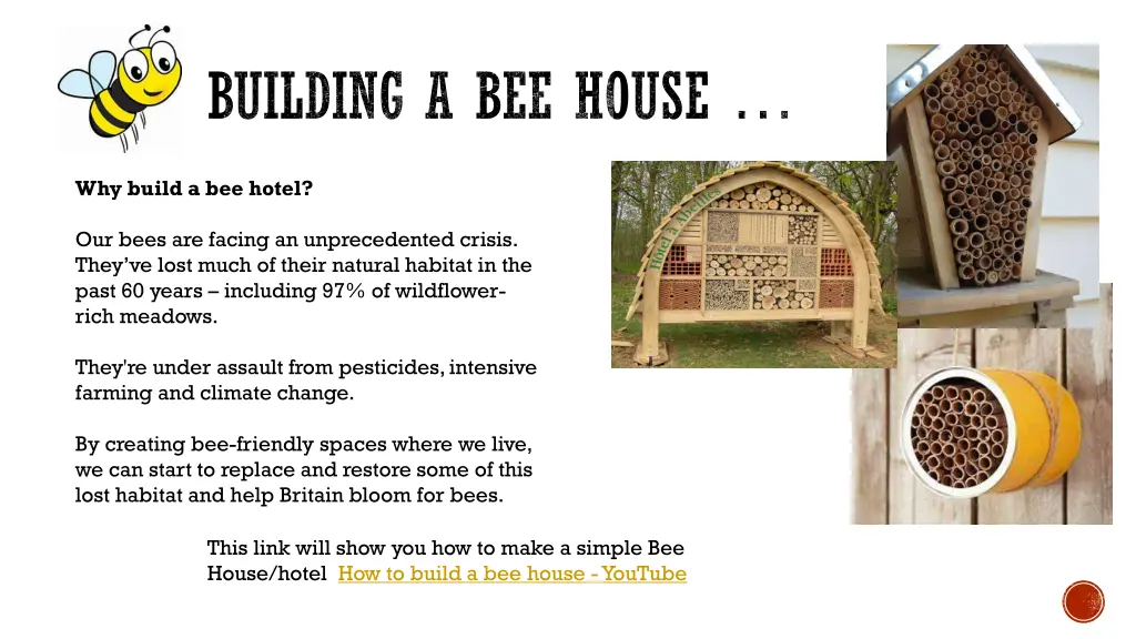 building a bee house