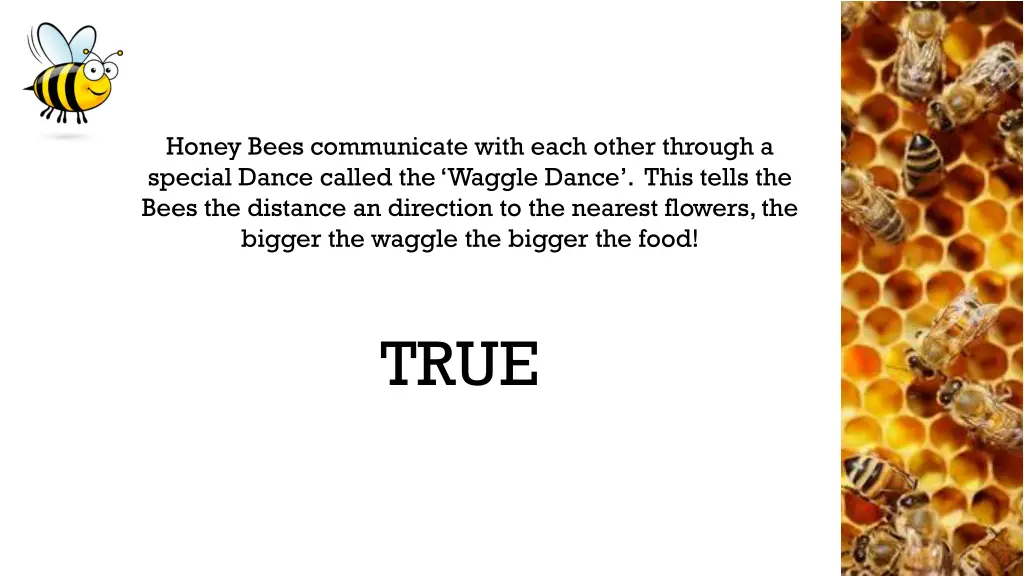 honey bees communicate with each other through