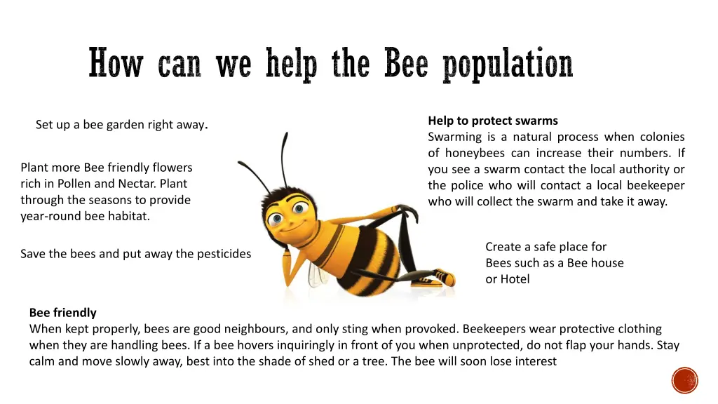 how can we help the bee population