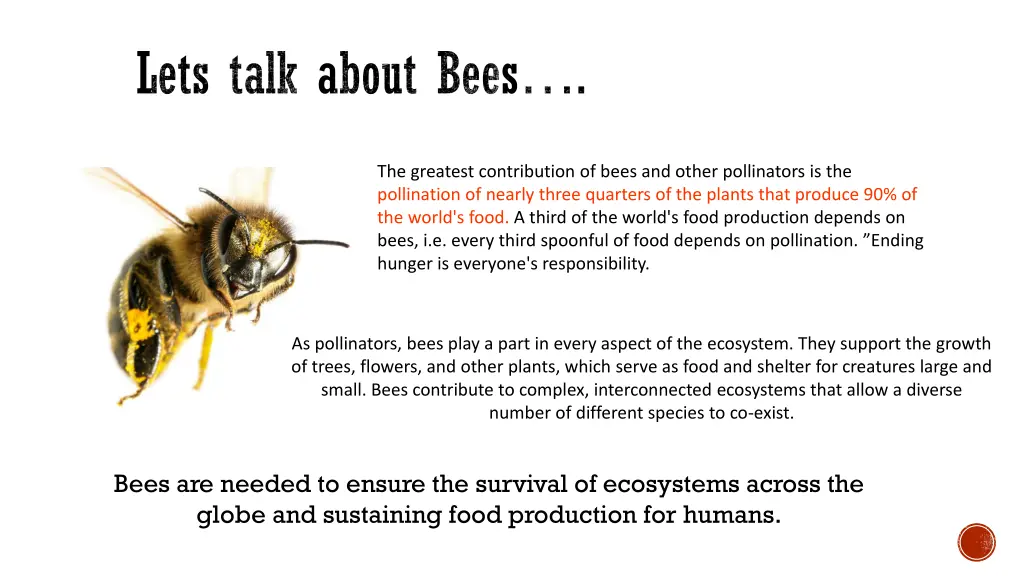 lets talk about bees