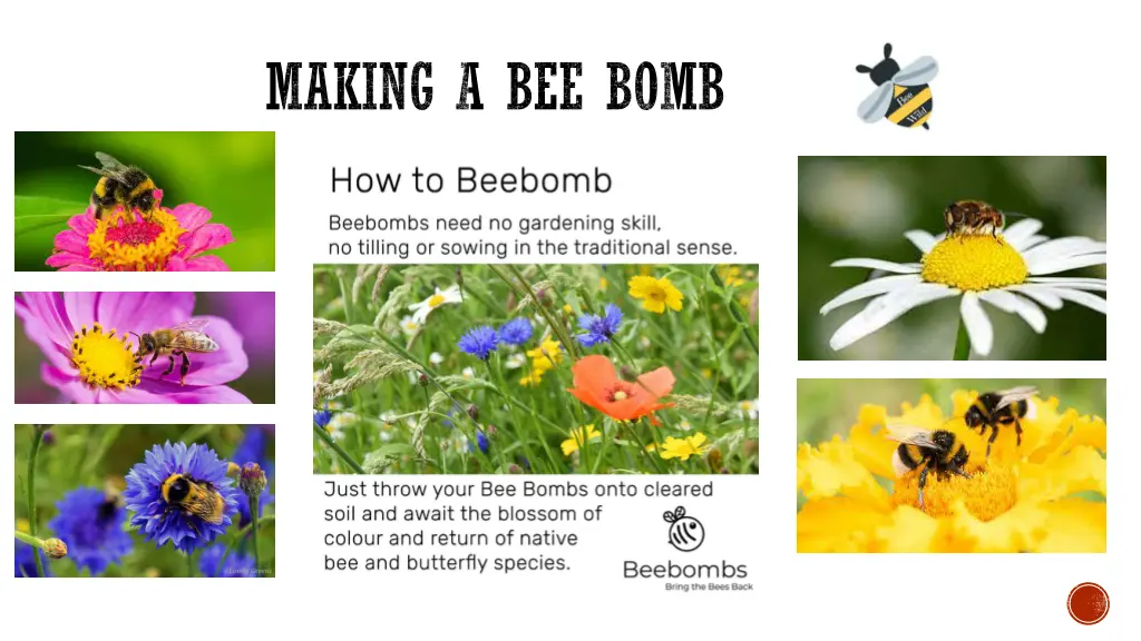 making a bee bomb