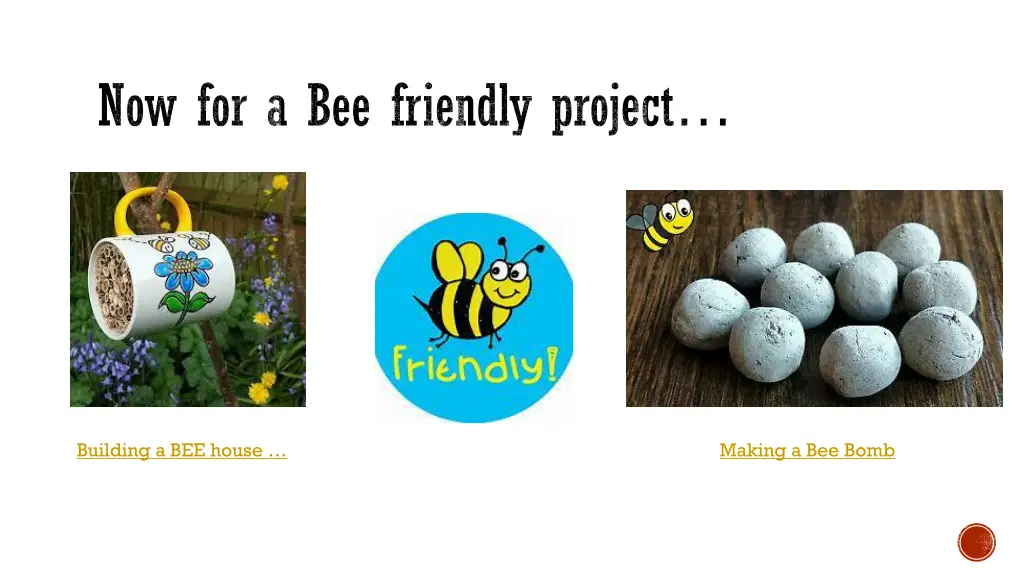 now for a bee friendly project