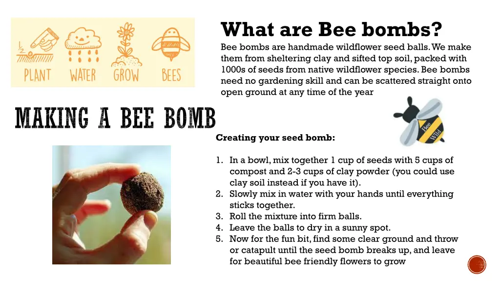 what are bee bombs bee bombs are handmade