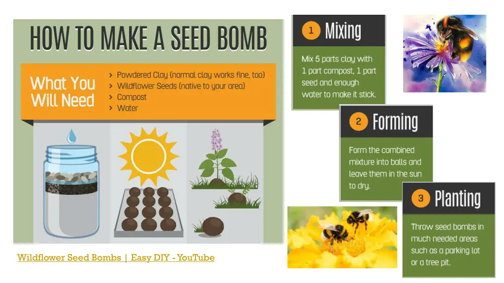 wildflower seed bombs easy diy youtube