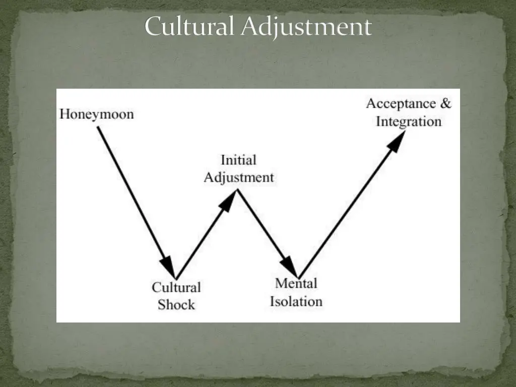 cultural adjustment 1