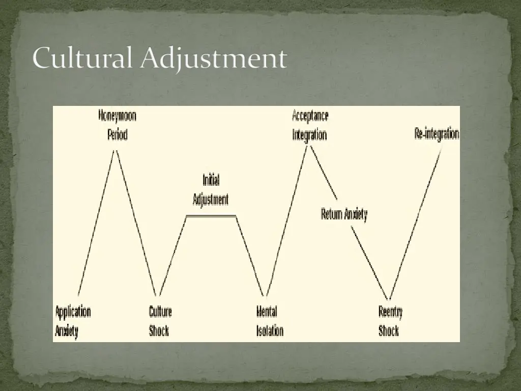 cultural adjustment 2