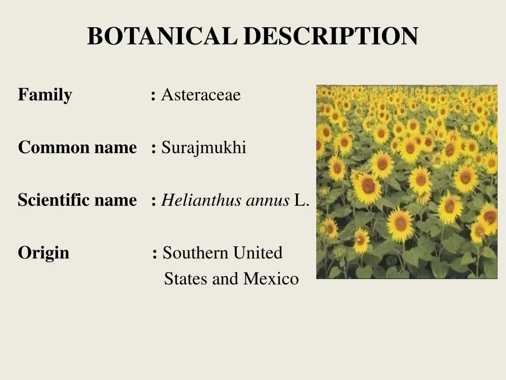 botanical description