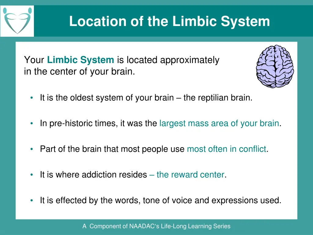 location of the limbic system