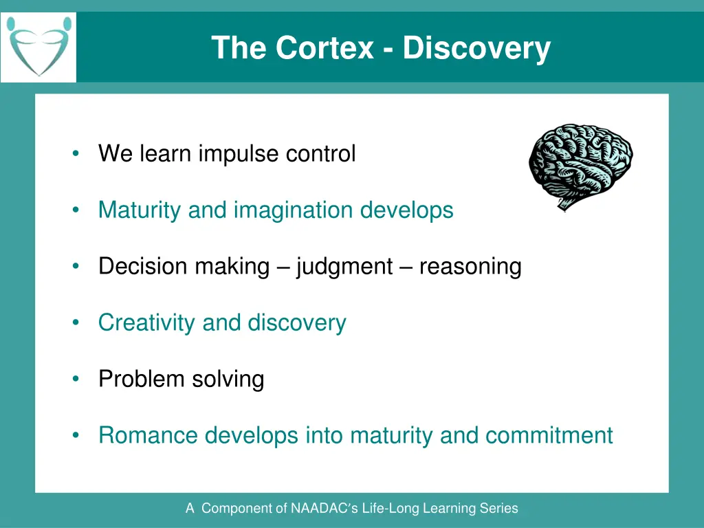 the cortex discovery