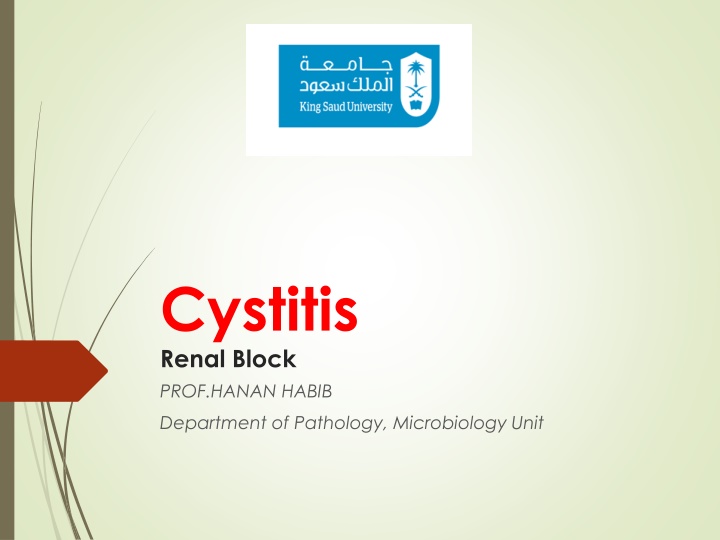 cystitis renal block prof hanan habib