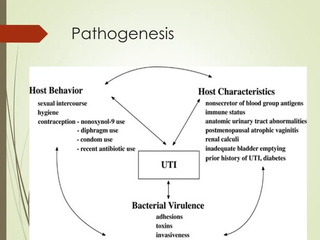 pathogenesis