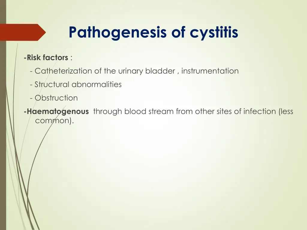 pathogenesis of cystitis 1