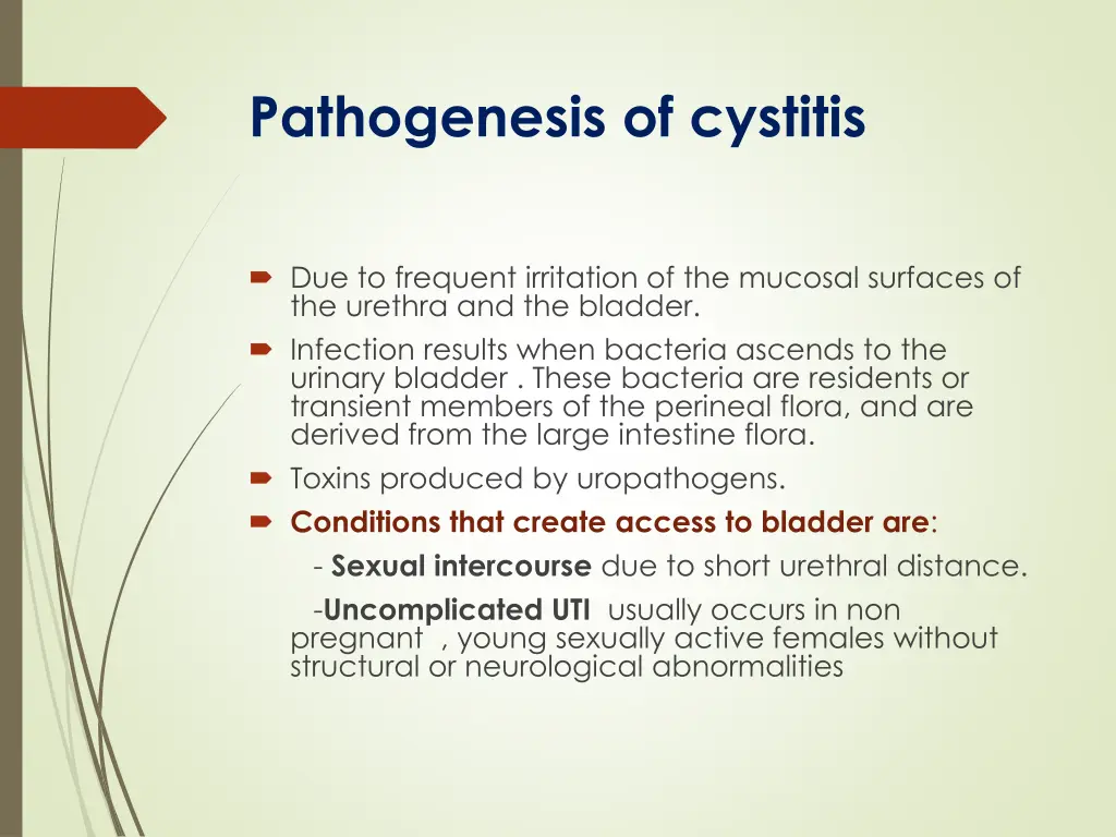 pathogenesis of cystitis