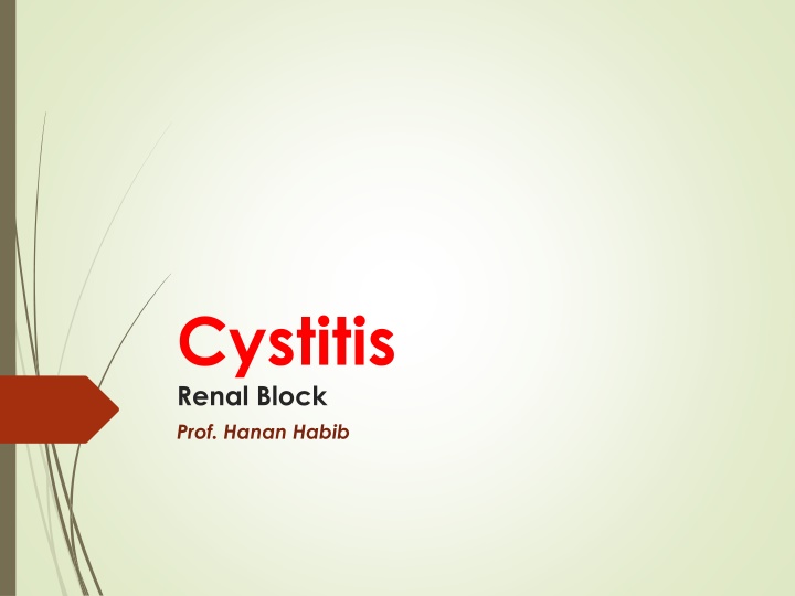 cystitis renal block prof hanan habib