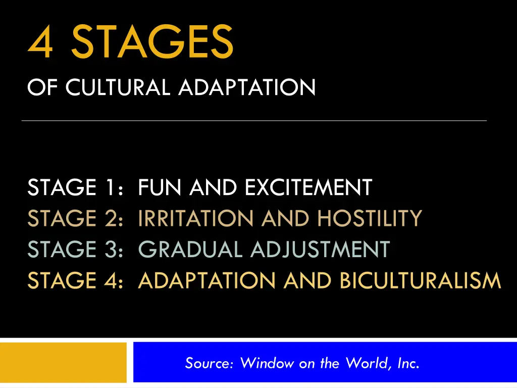 4 stages of cultural adaptation