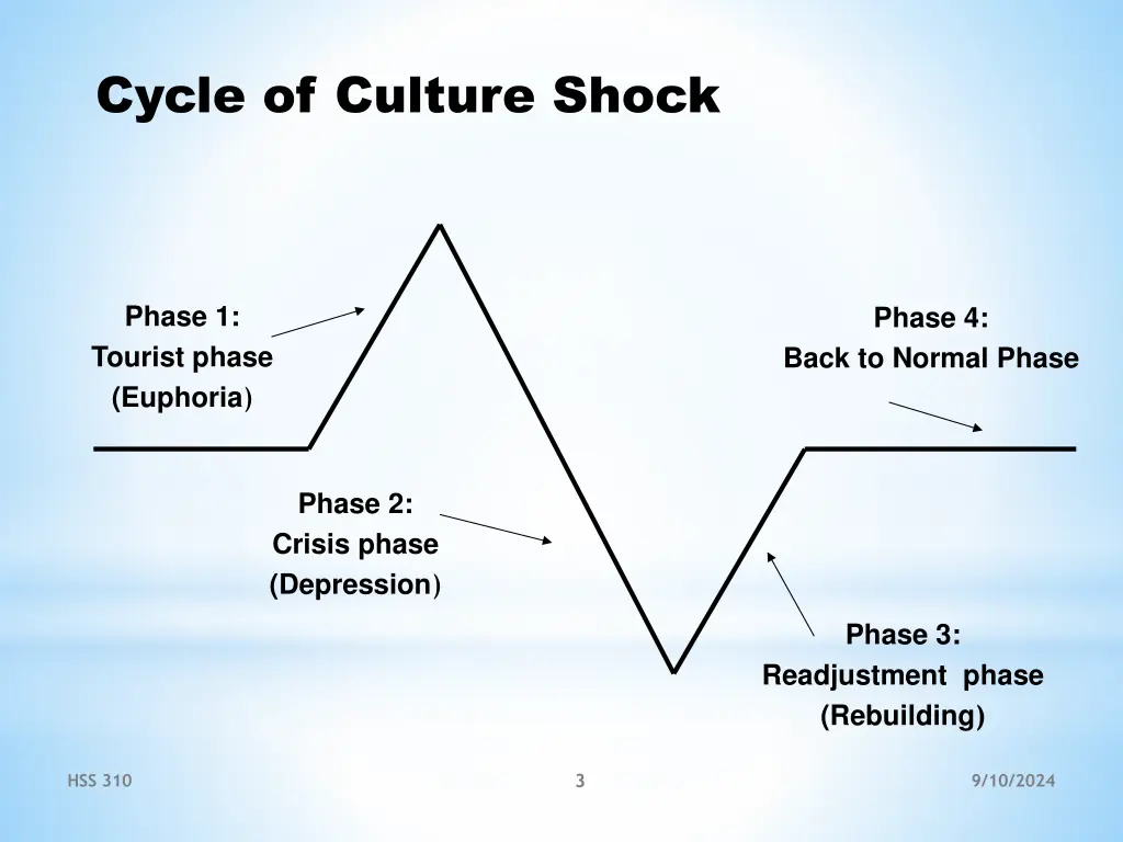 cycle of culture shock