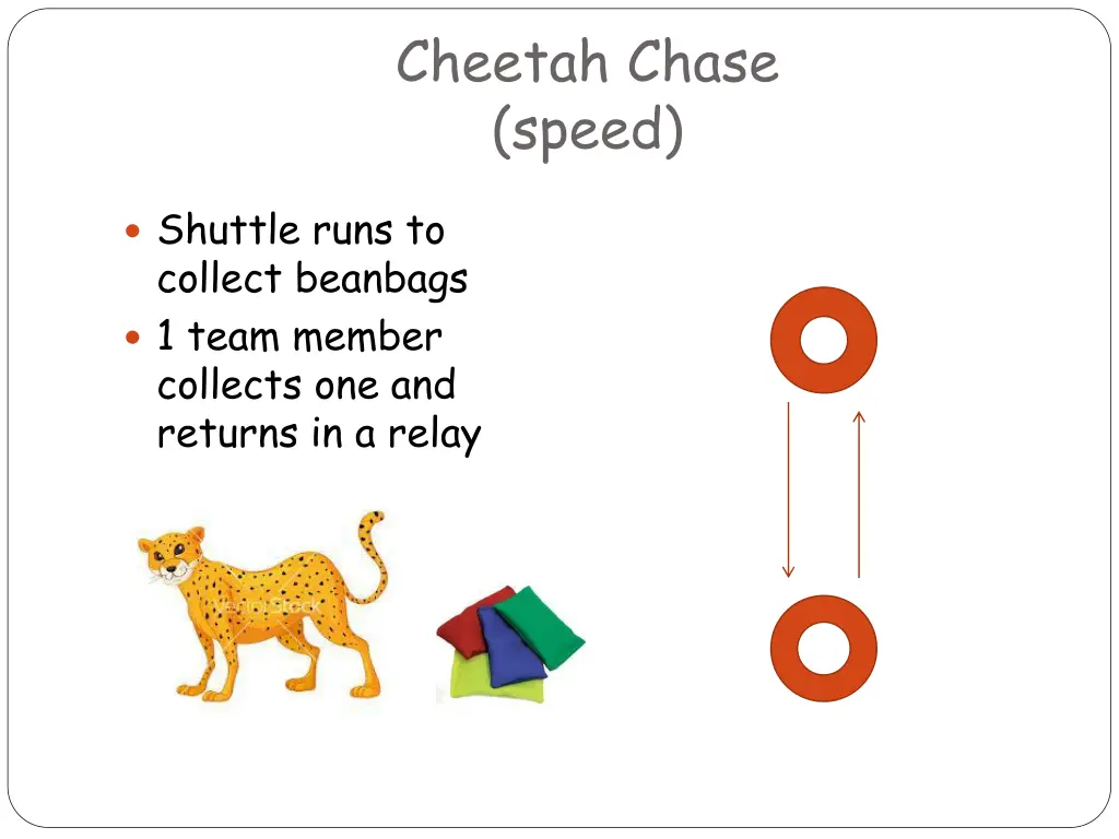 cheetah chase speed