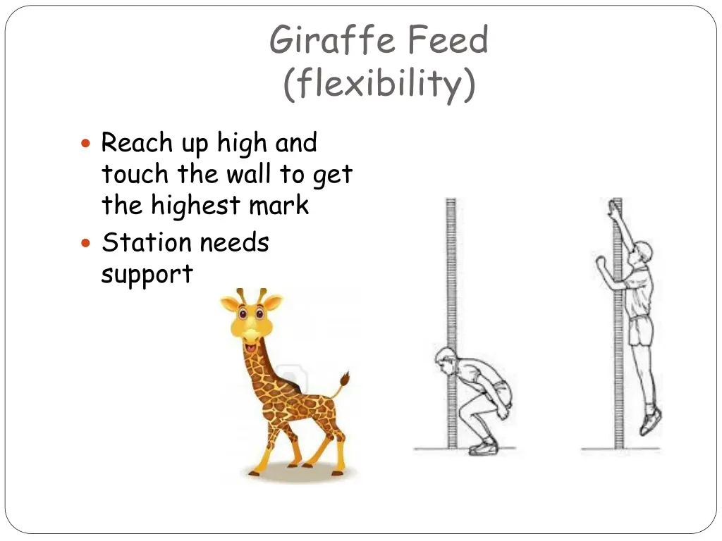 giraffe feed flexibility