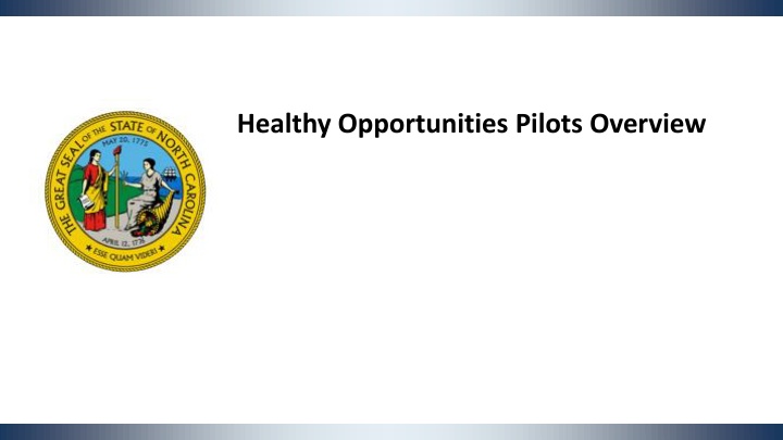 healthy opportunities pilots overview