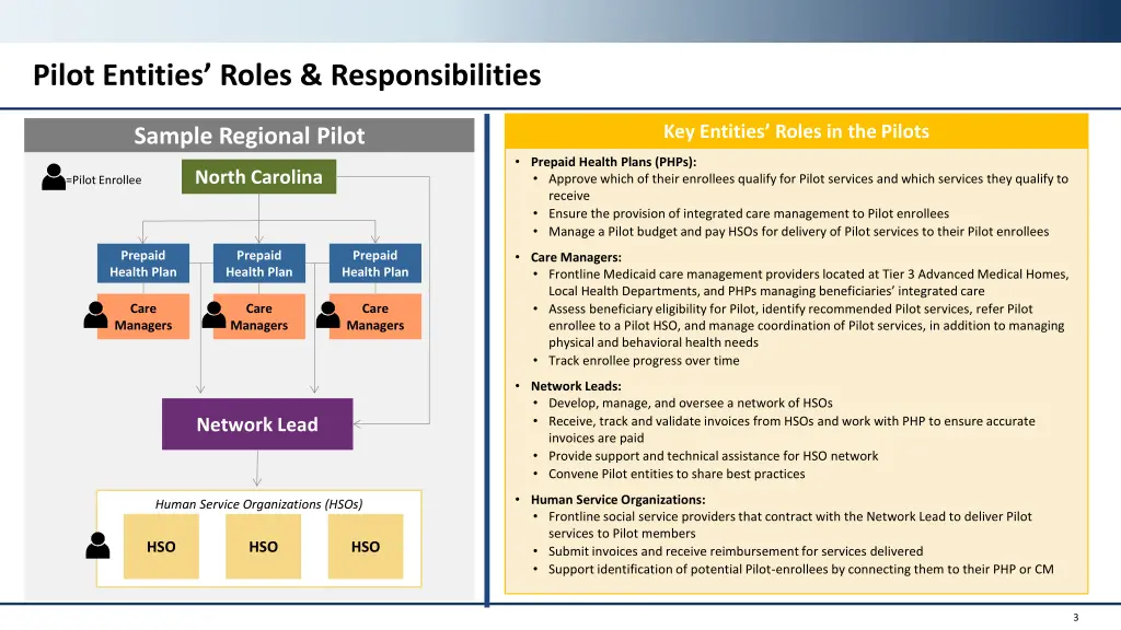 pilot entities roles responsibilities