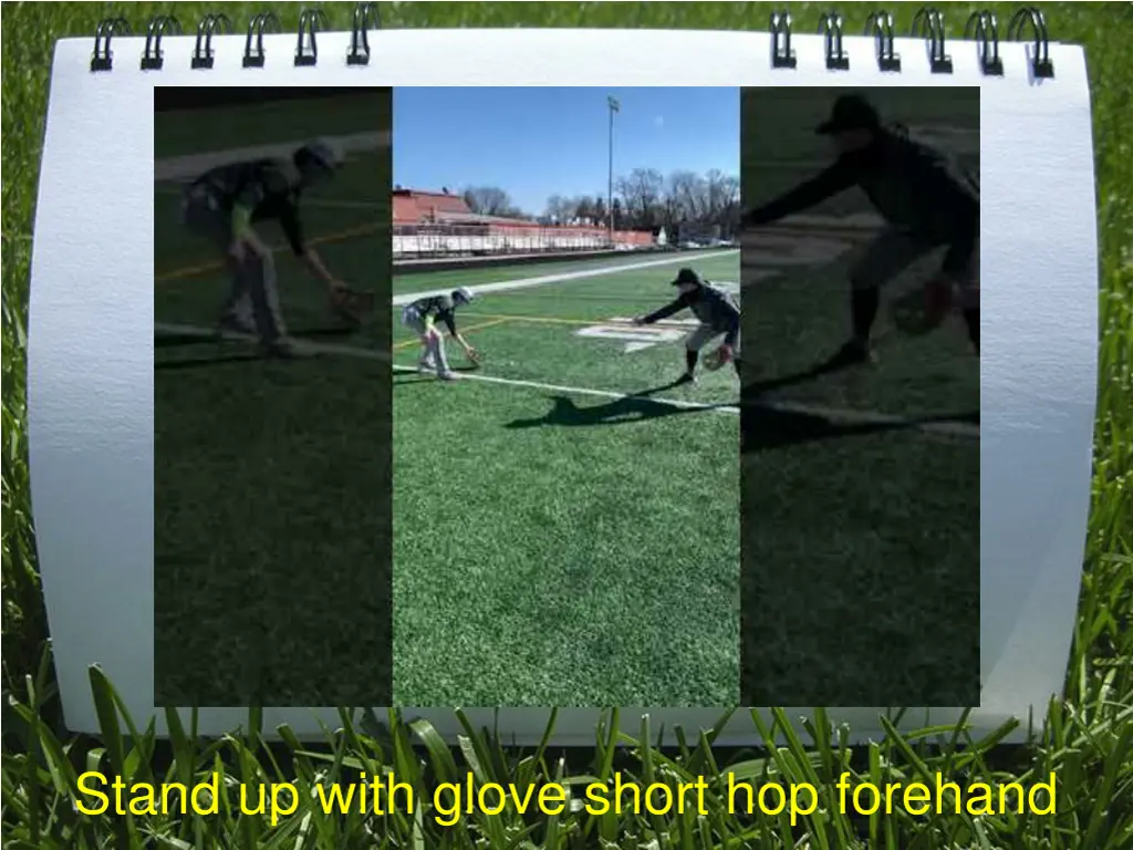 standup with glove forehand short hops