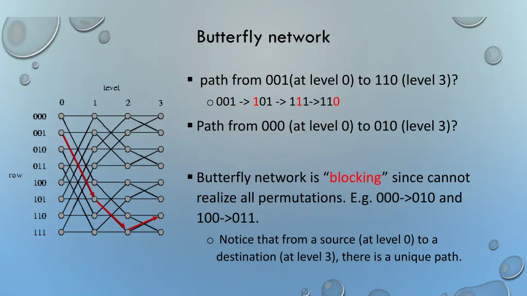 butterfly network 1